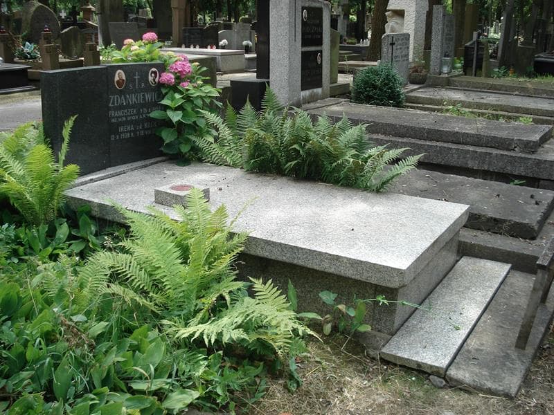 Zdjęcie grobu: Franciszek Zdankiewicz