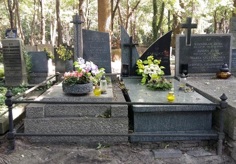 Zdjęcie grobu: Ludwik Jarek