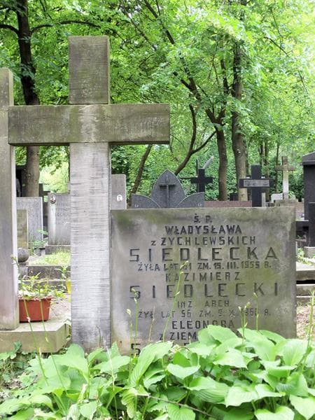 Zdjęcie grobu Eleonora Siedlecka (2)