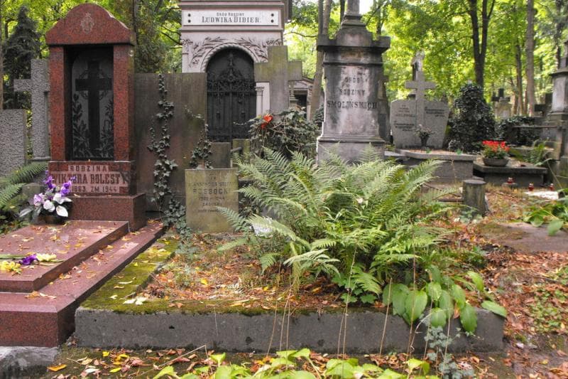 Zdjęcie grobu: Białeccy