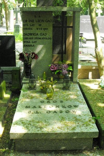 Zdjęcie grobu: Zofja Okryńska