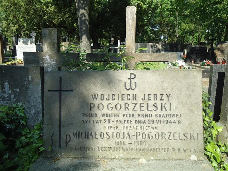 Zdjęcie grobu Maria Krystyna Pogorzelska (2)