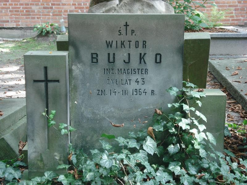 Zdjęcie grobu Wiktor Bujko (2)