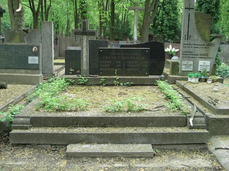 Zdjęcie grobu: Czesław Przybojewski