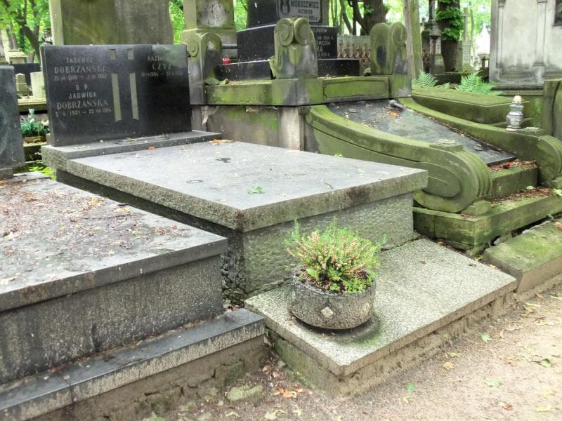 Zdjęcie grobu Jadwiga Dobrzańska (1)
