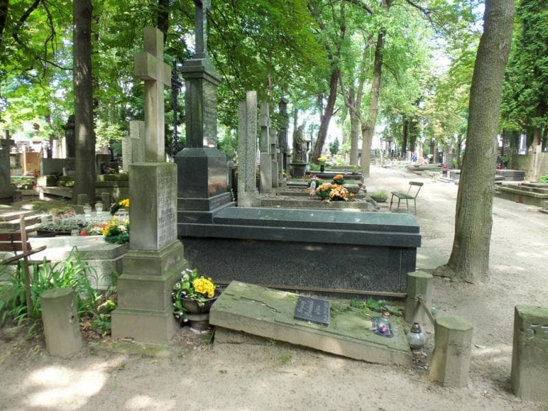Zdjęcie grobu Franciszek Próchnicki (1)