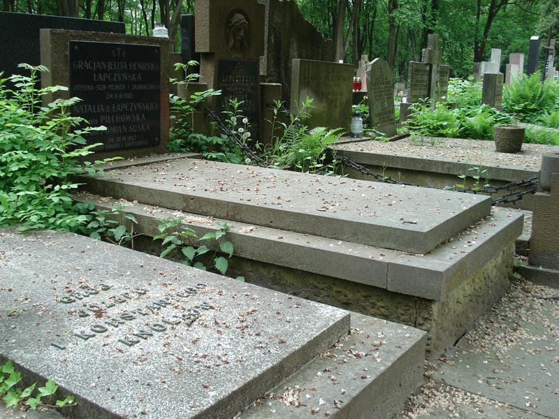 Zdjęcie grobu Natalia Pomian Suska (1)