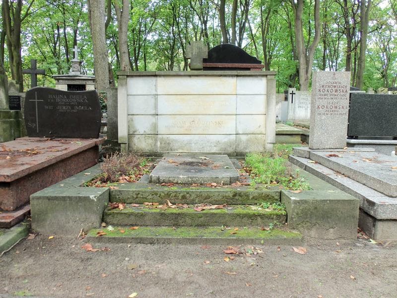 Zdjęcie grobu: Adam Głodziński