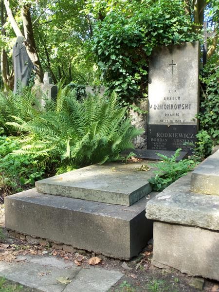 Zdjęcie grobu Anzelm Dzwonkowski (1)