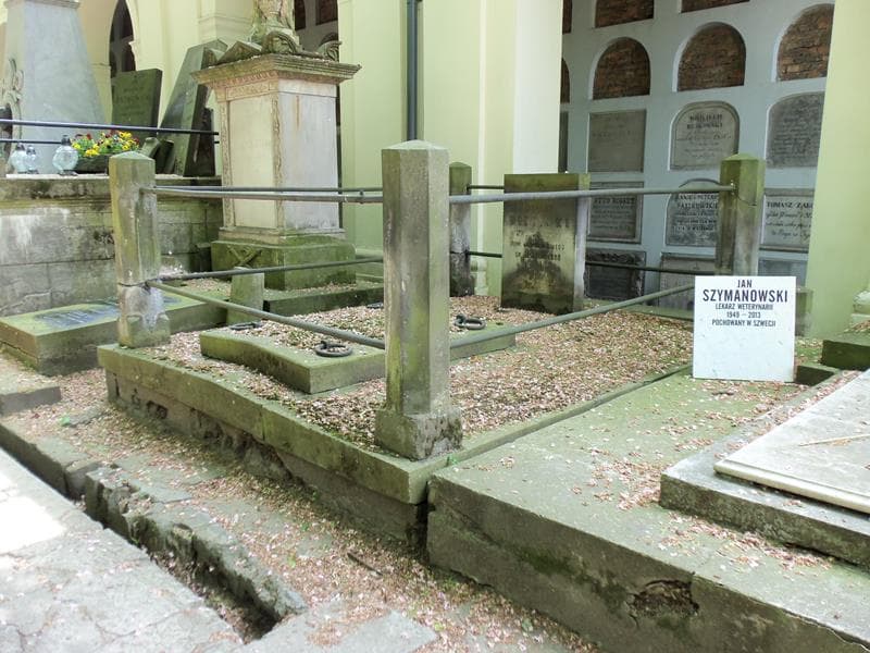 Zdjęcie grobu Józef Bielicki (2)