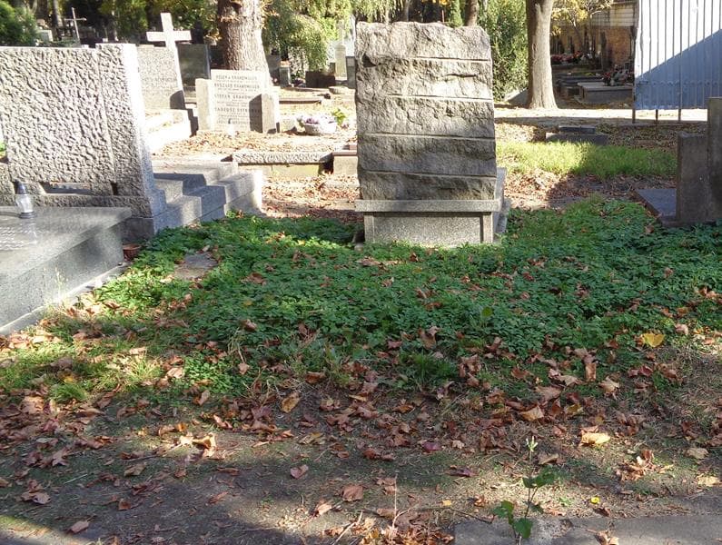 Zdjęcie grobu: Pole Grobowe