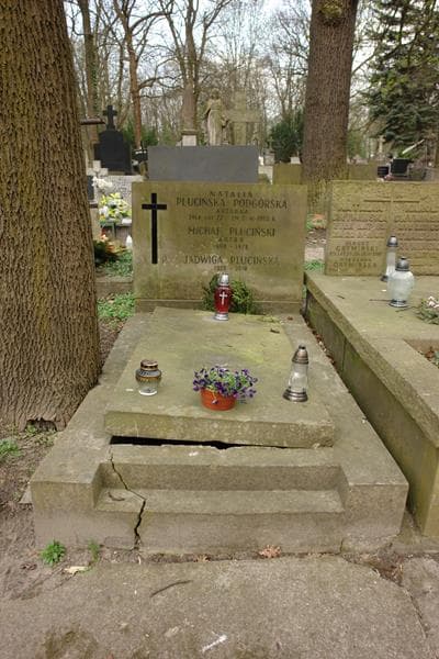 Zdjęcie grobu: Michał Pluciński