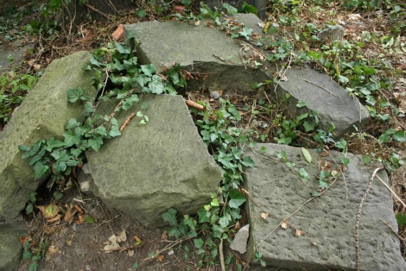 Zdjęcie grobu Ostrowska (2)