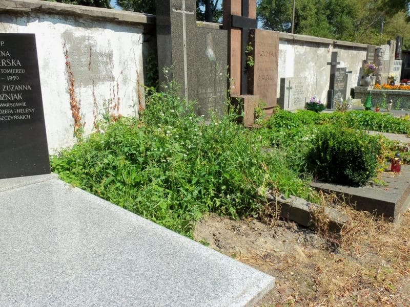 Zdjęcie grobu Marja Daszyńska (1)