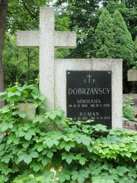 Zdjęcie grobu Krystyna Dobrzańska (2)