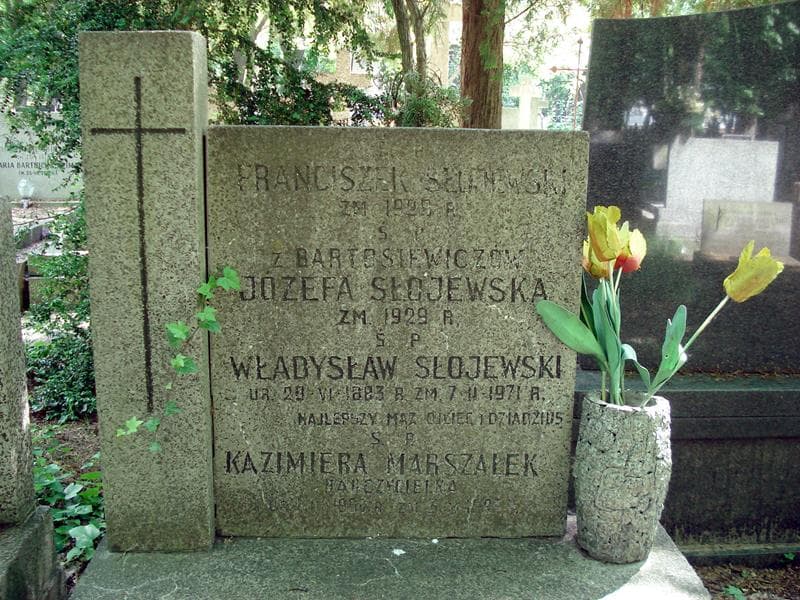 Zdjęcie grobu Władysław Słojewski (1)