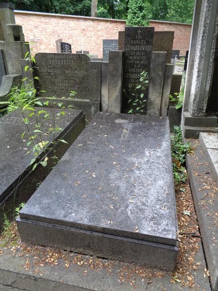 Zdjęcie grobu Marja Brzeska (2)