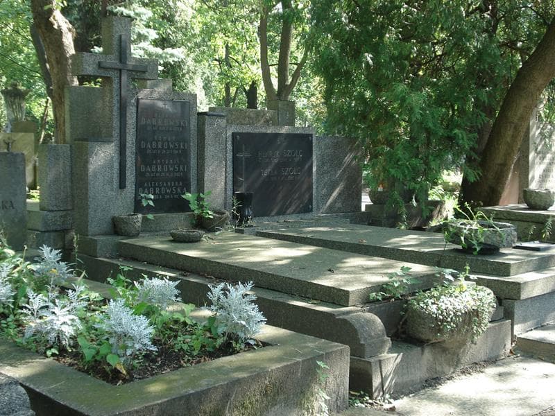 Zdjęcie grobu Aleksandra Dąbrowska (1)