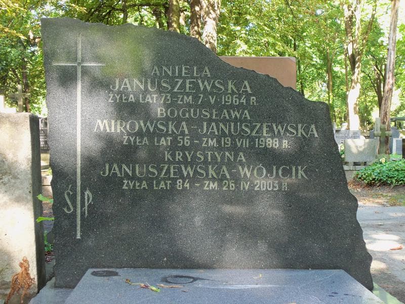 Zdjęcie grobu Konstanty Januszewski (2)