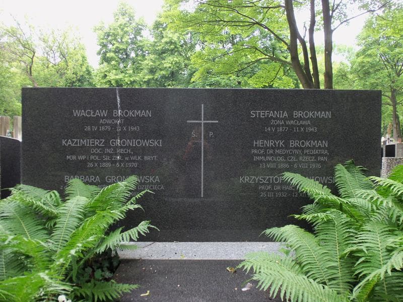 Zdjęcie grobu Henryk Brokman (2)