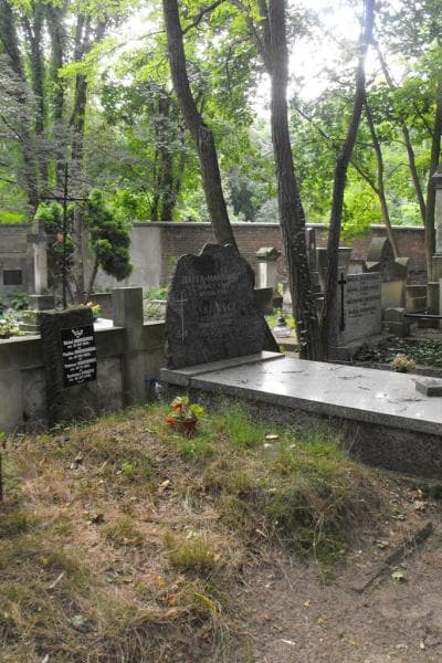 Zdjęcie grobu Tadeusz Jaroszewicz (1)