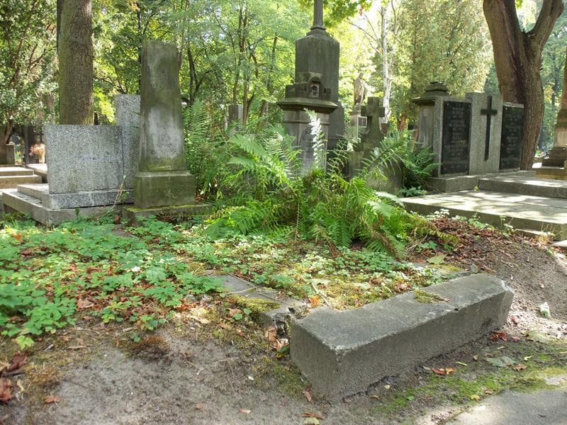 Zdjęcie grobu Klara Pierożyńska (1)