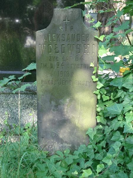 Zdjęcie grobu Aleksander Wołowski (1)