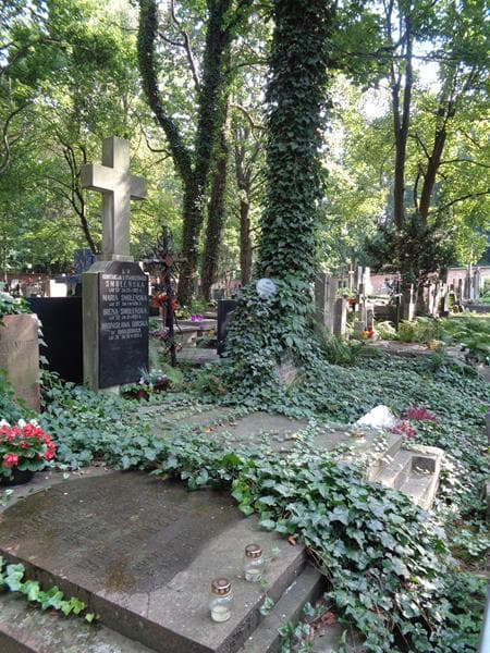 Zdjęcie grobu: Bronisława Górska