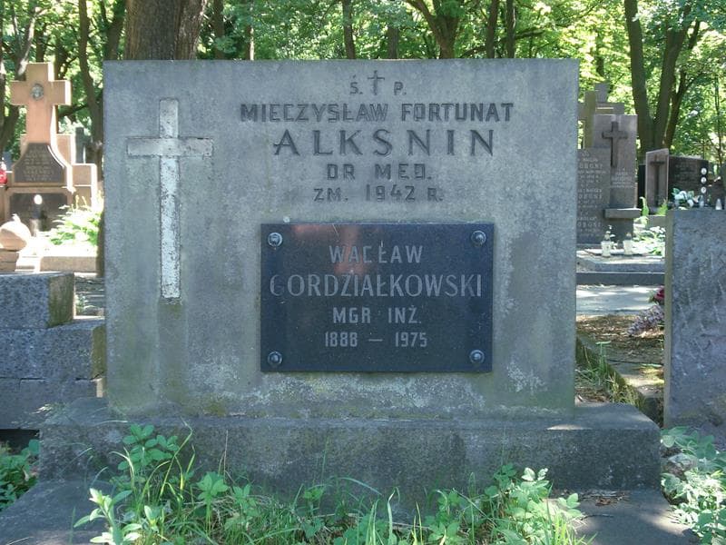 Zdjęcie grobu Mieczysław Fortunat Alksnin (1)