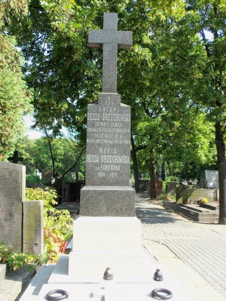 Zdjęcie grobu Antoni Oksza-Orzechowski (2)