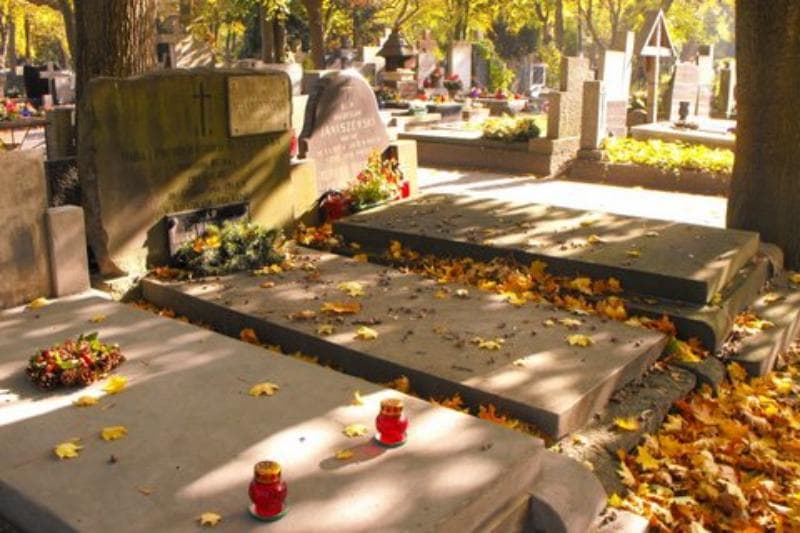 Zdjęcie grobu Ludwik Warwasiński (1)
