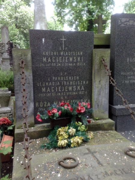 Zdjęcie grobu Antoni Władysław Maciejewski (1)