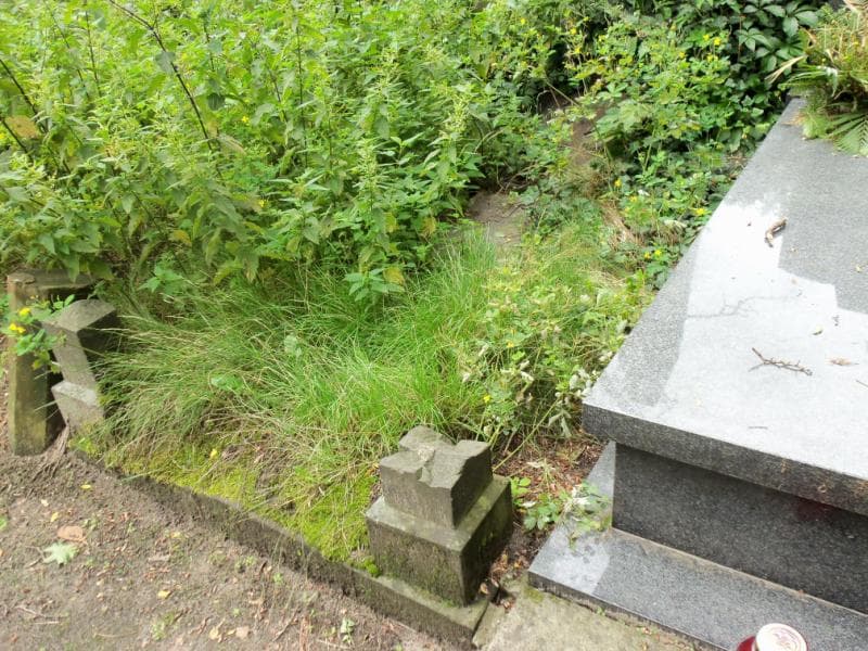 Zdjęcie grobu Józio Bronikowski (2)