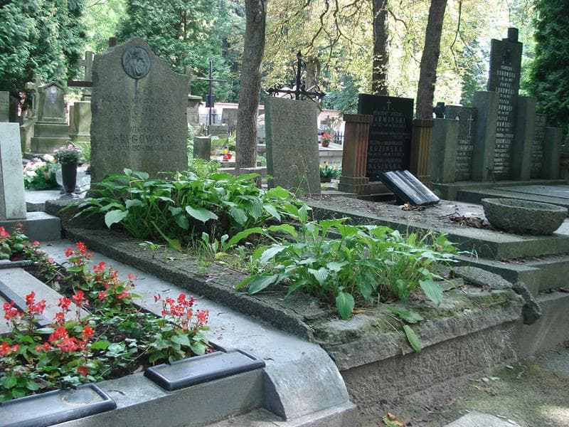 Zdjęcie grobu Wiktoria Krygowska (1)