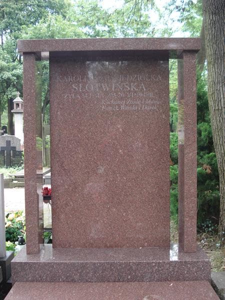 Zdjęcie grobu Karolina Słotwińska (2)
