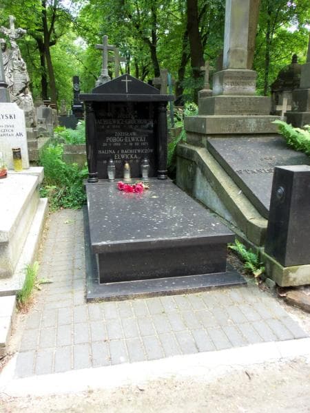 Zdjęcie grobu: Zdzisław Pobóg-Elwicki