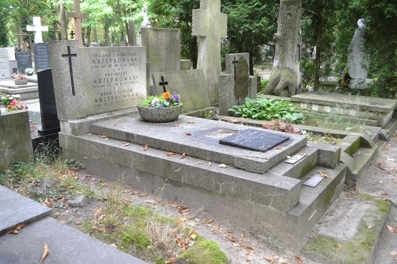 Zdjęcie grobu: Andrzej Krzepkowski