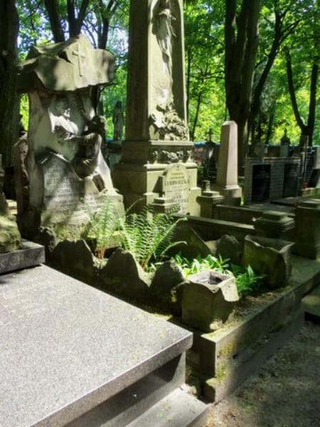 Zdjęcie grobu Kazimiera Lubowiecka (1)