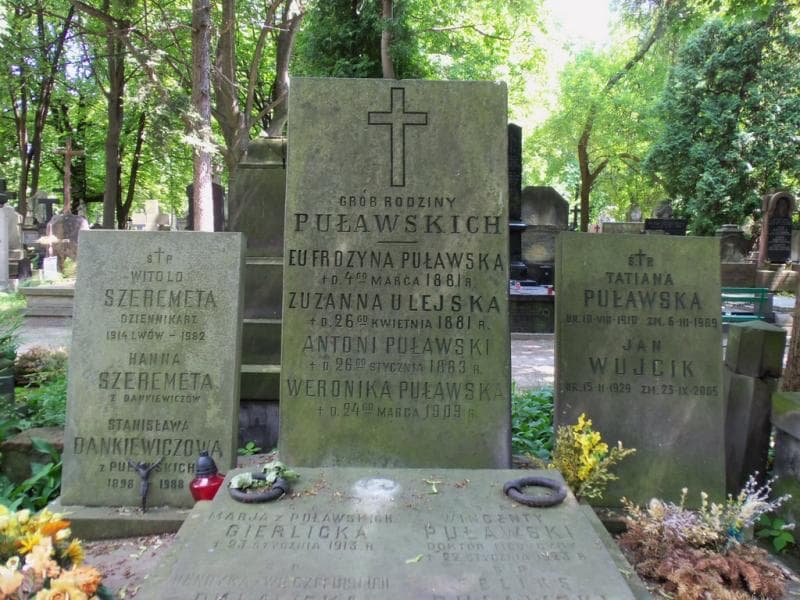 Zdjęcie grobu Jan Wujcik (1)