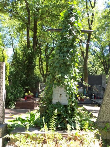 Zdjęcie grobu Wacław Terpiłowski (2)
