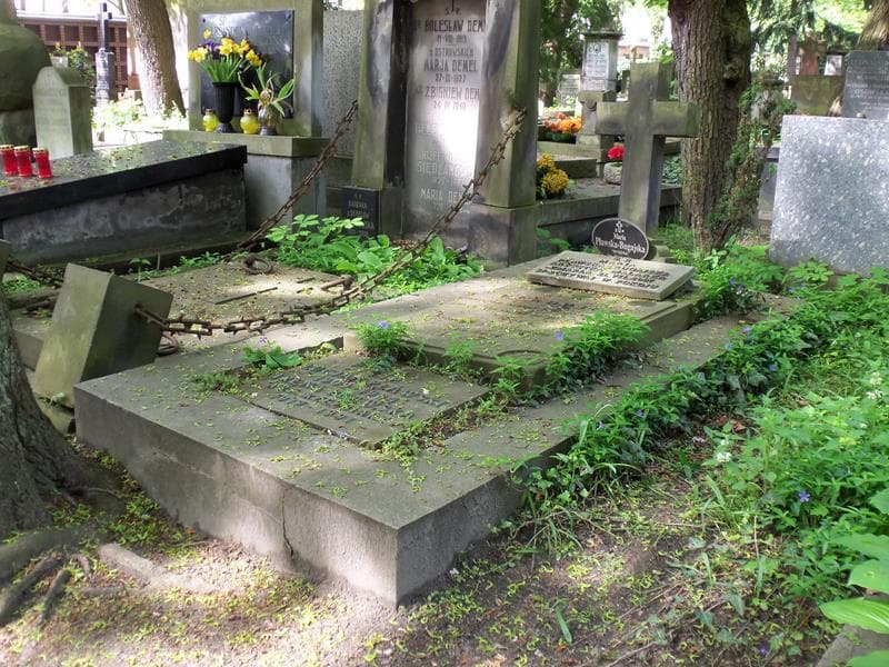 Zdjęcie grobu Zofja Rukowiczowa (1)