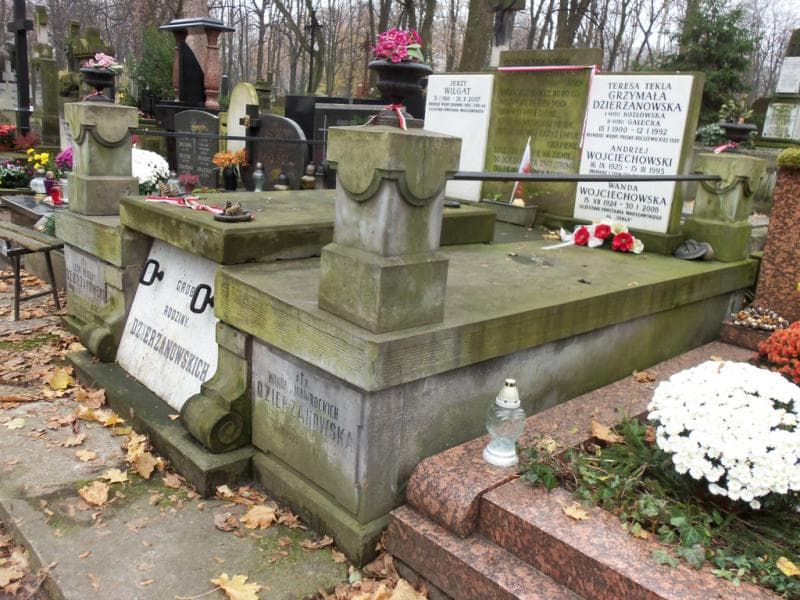 Zdjęcie grobu Jan Kozłowski (1)
