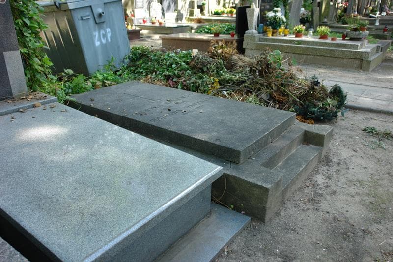 Zdjęcie grobu: Wacława Waryńska