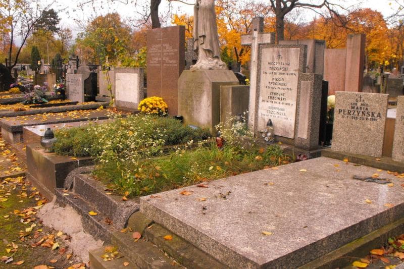 Zdjęcie grobu Zygmunt Trzciński (1)