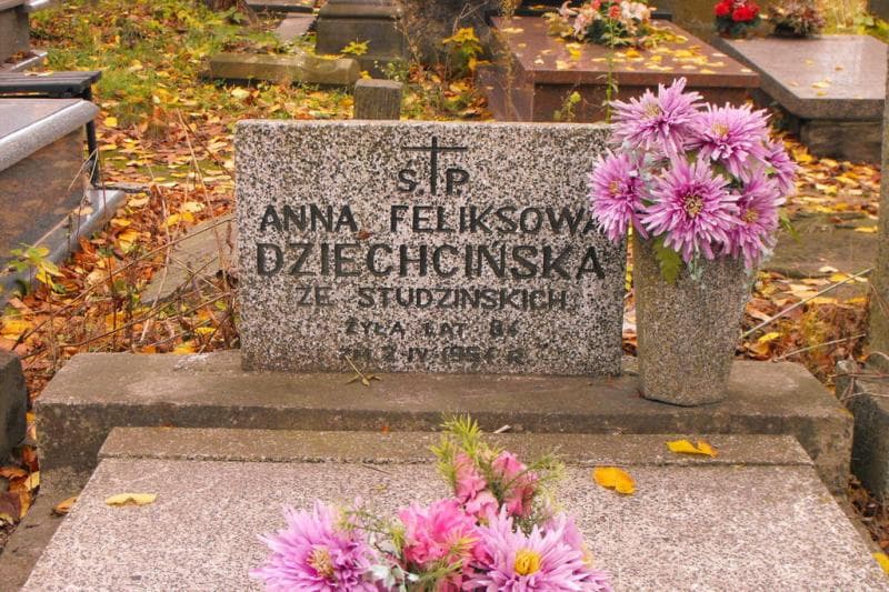 Zdjęcie grobu Anna Dziechcińska (2)