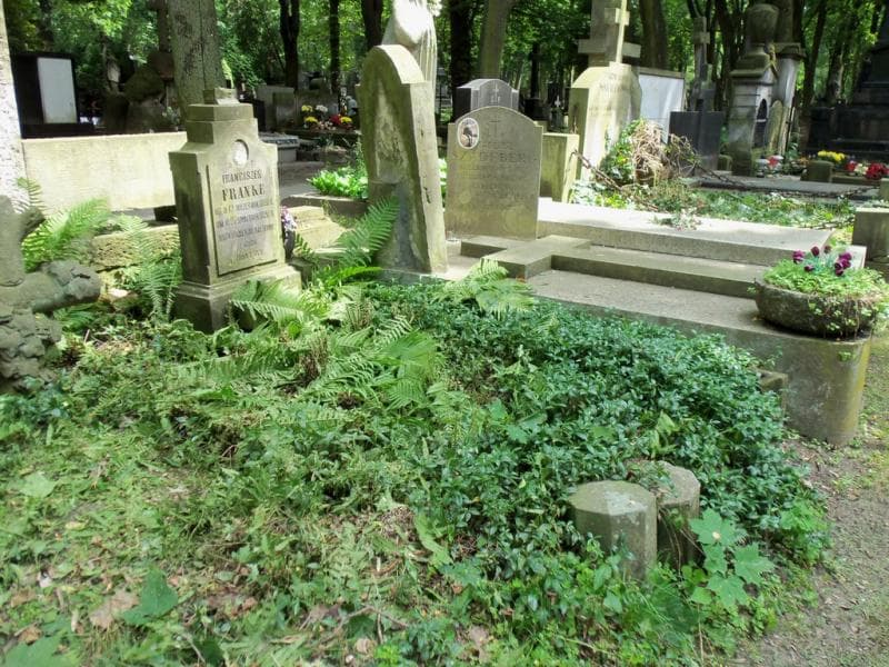 Zdjęcie grobu Franciszek Franke (1)