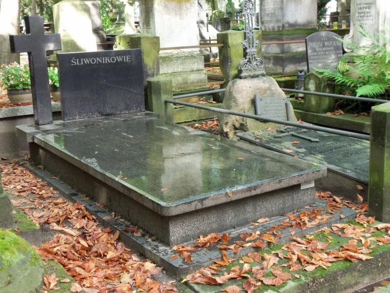 Zdjęcie grobu Symforian Kozłowski (1)