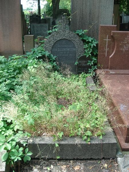 Zdjęcie grobu Jadwiga Oleszkiewicz (1)