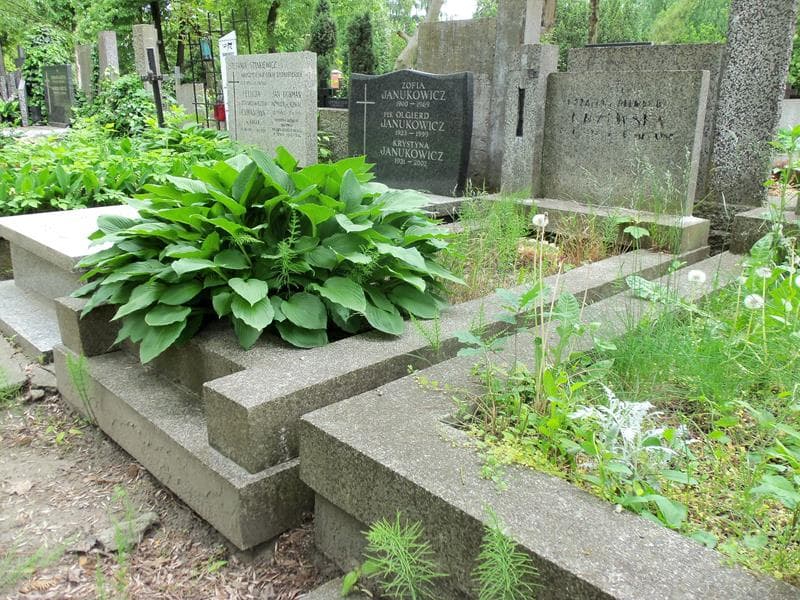 Zdjęcie grobu Rozalia Krzewska (1)