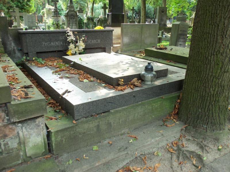 Zdjęcie grobu Stanisław Woycicki (1)